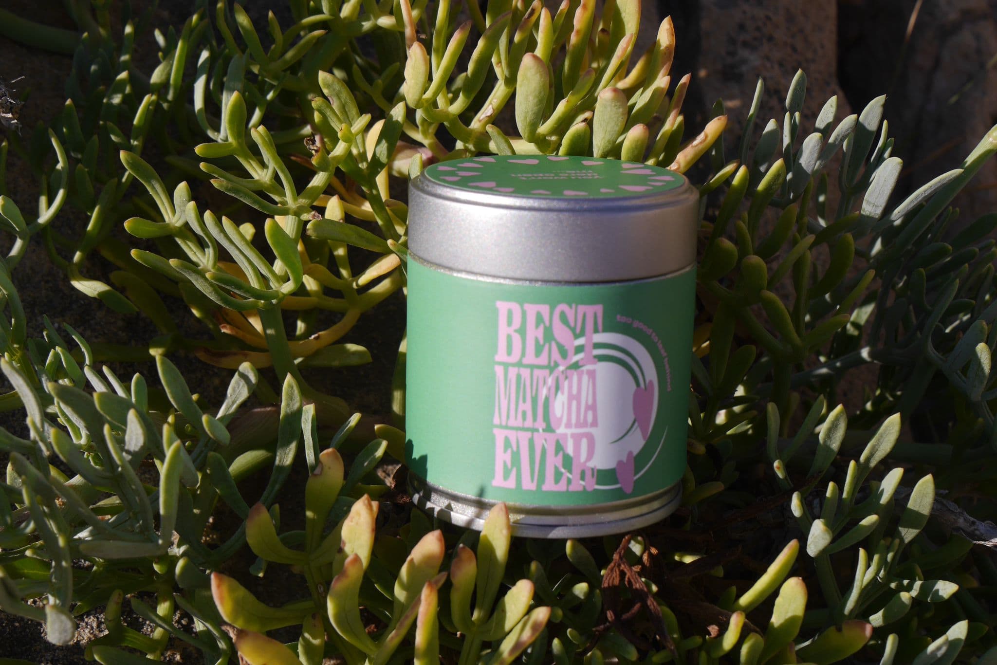 Matcha en poudre