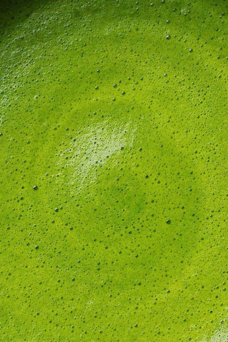 Texture de matcha