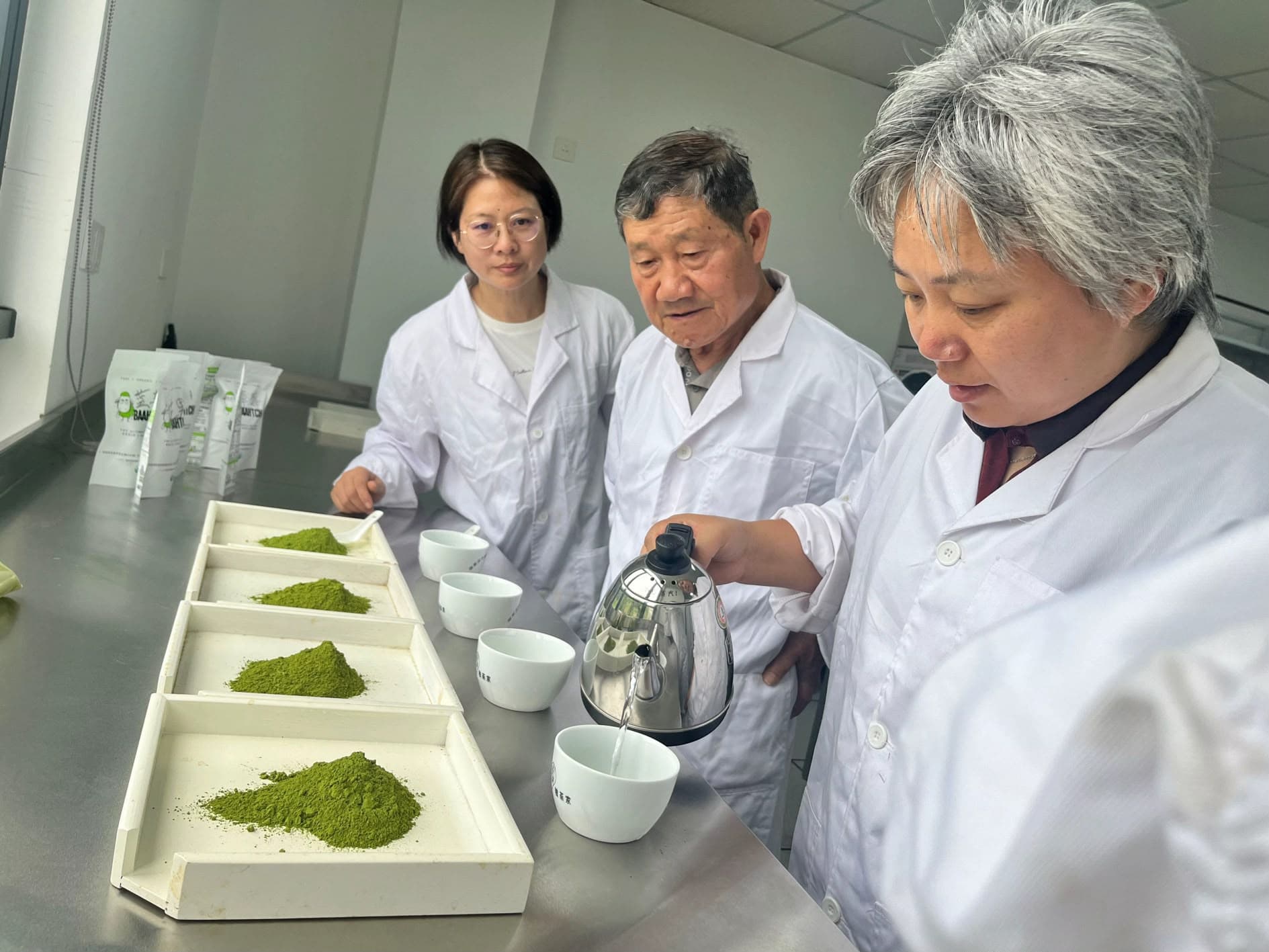 Dégustation et contrôle qualité de plusieurs échantillons de matcha
